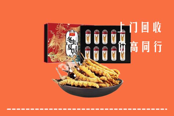 沈阳回收虫草